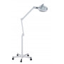 Weelko Ampli magnifiyng lamp