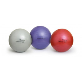 Sissel Securemax Exercise Ball
