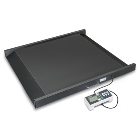 Kern MWN 300K-1M wheelchair platform scale