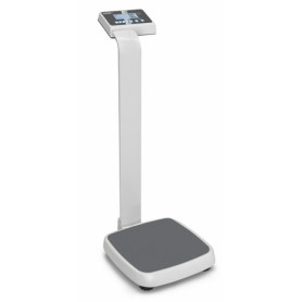 Kern MPE 250K100PM digital floor scale with column
