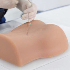 3B Scientific image guided lumbar spine injector trainer