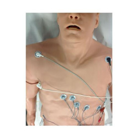 Zoll 12 lead arrhythmia simulator with manikin overlay large